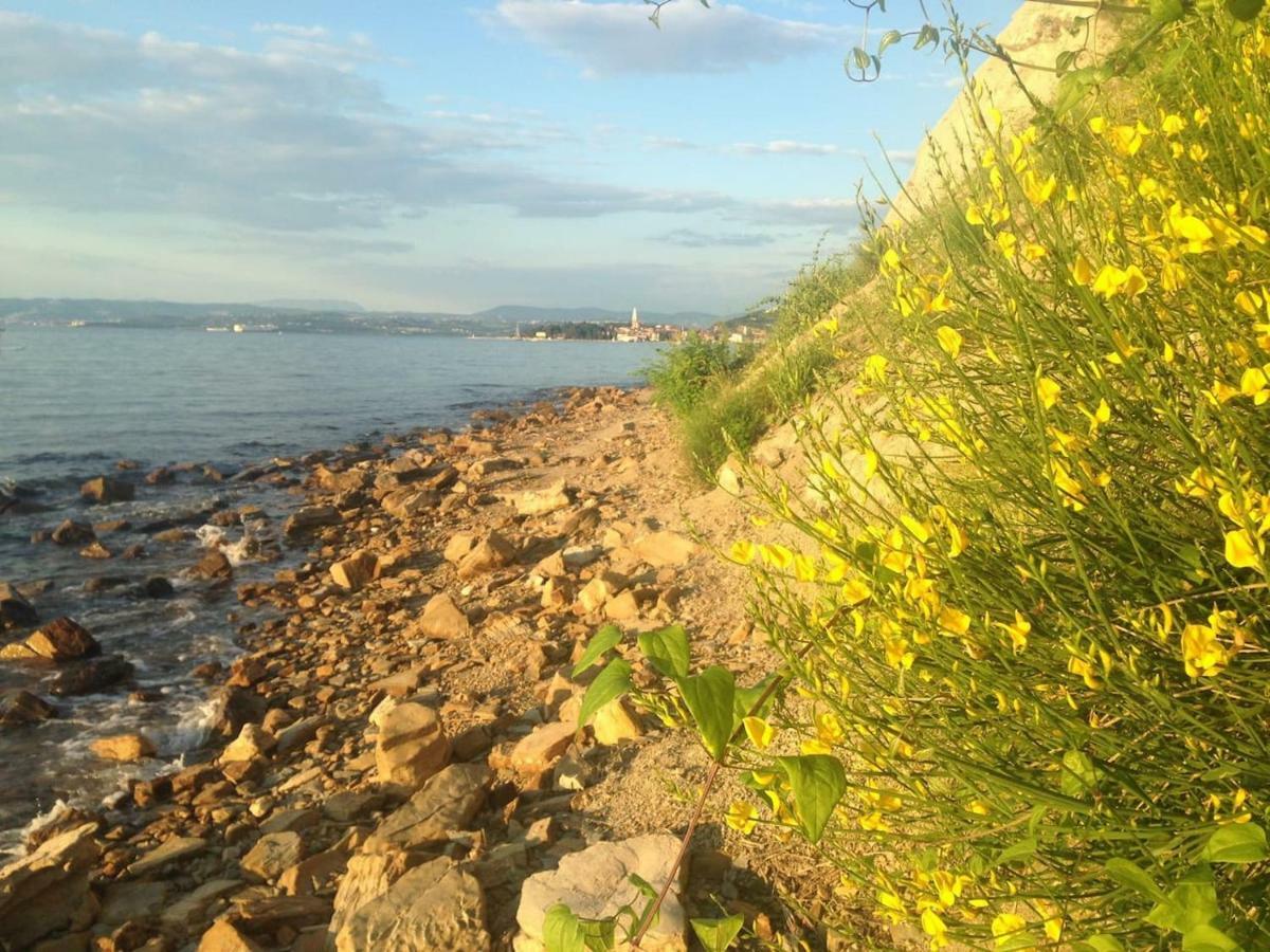 Apartma Ada Izola Dış mekan fotoğraf